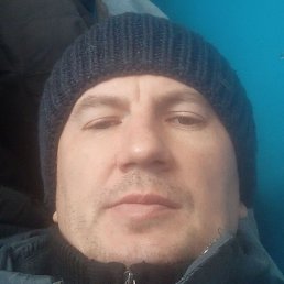 �������, ������, 49 ���