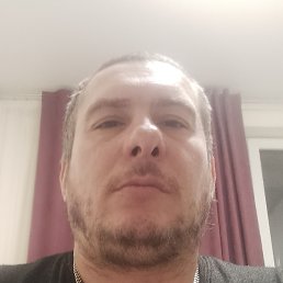 ����, �������, 41 ���