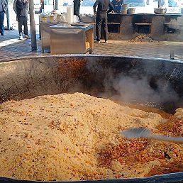 �����, �������, 40 ���