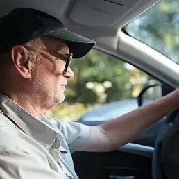 ���������, 65 ���, �������