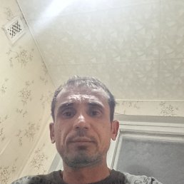 , 41, 
