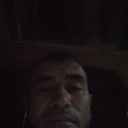 , 45, 