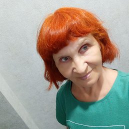 , 56, 
