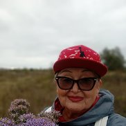  , 66 , 