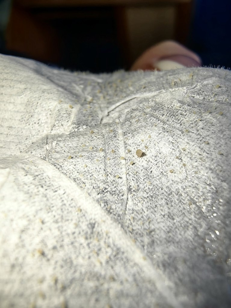 ��o ����ee cpe�c��o o� ��p��� �o�e�! �e� 5 �a�a� �a�a���a�a �a��� �ac��, �o ��� �p��o� ���a�� �a��� ... - 3