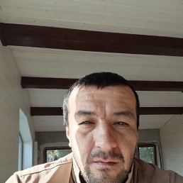 , 34, 