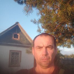 , 43, 