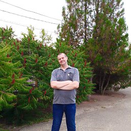 �������, ������-��-����, 46 ���