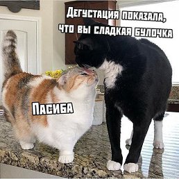 �, ������