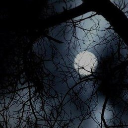 �������, ������, 37 ���