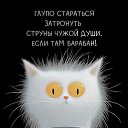 ���� ������, �����-��������� - ��������� 23 ������ 2026 � ������ ������ ��������