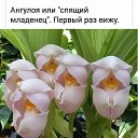 ���� �����, ���� - ��������� 10 ����� 2025 � ������ ���� ����������