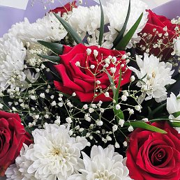 ��������, ������, 43 ����