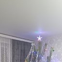 ���� �����, ������, 55 ��� - ��������� 9 ������ 2026 � ������ ���� ����������
