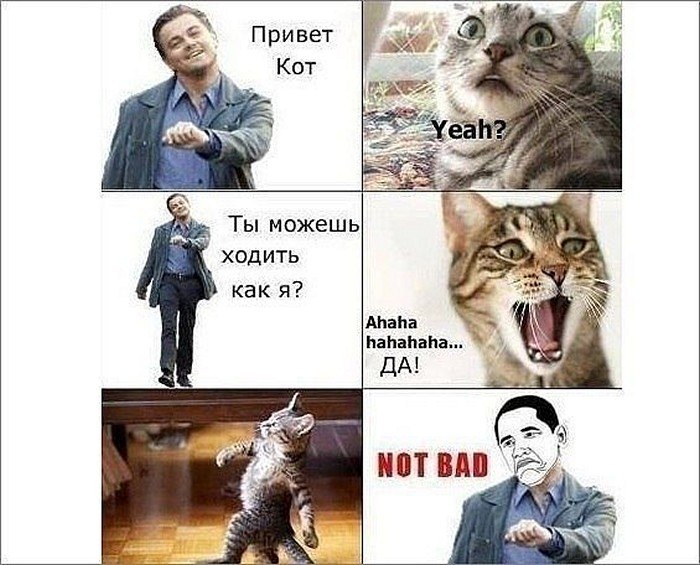 ☆   ☆ - 26  2025  16:17