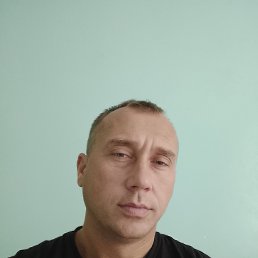 , 37, 