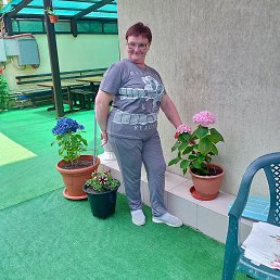, 51, 