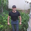 ���� �����, �����-���������, 43 ���� - ��������� 2 ���� 2026 � ������ ���� ����������
