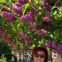 ���� �����, �����-���������, 61 ��� - ��������� 25 ������ 2025