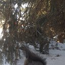 ���� �����, ���������� - ��������� 9 ������� 2025 � ������ ���� ����������