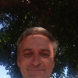 , 43 , 