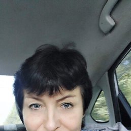 ���� ������, ���������, 62 ���� - ��������� 15 ������� 2024