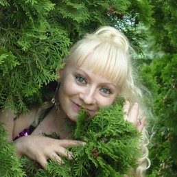 �����, 43 ����, ����