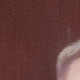 �����, ����, 48 ���