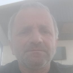 ����, ������, 46 ���