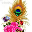 ���� Yash Pal, ���-����, 36 ��� - ��������� 1 ��� 2026 � ������ ���� ����������
