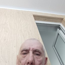 , 65 , 