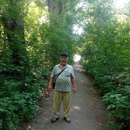 , 56 , 