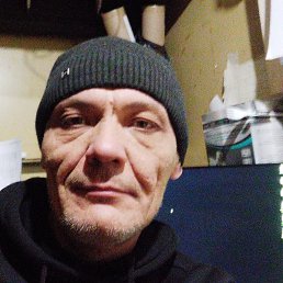 ������, ������, 49 ���