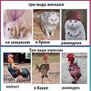 ���� ����, ������� - ��������� 17 ������ 2026