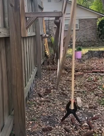 � �� �� ������, ��� ������� ������..