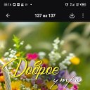 ���� ���������, ���������, 56 ��� - ��������� 17 ��� 2026 � ������ ���� ����������
