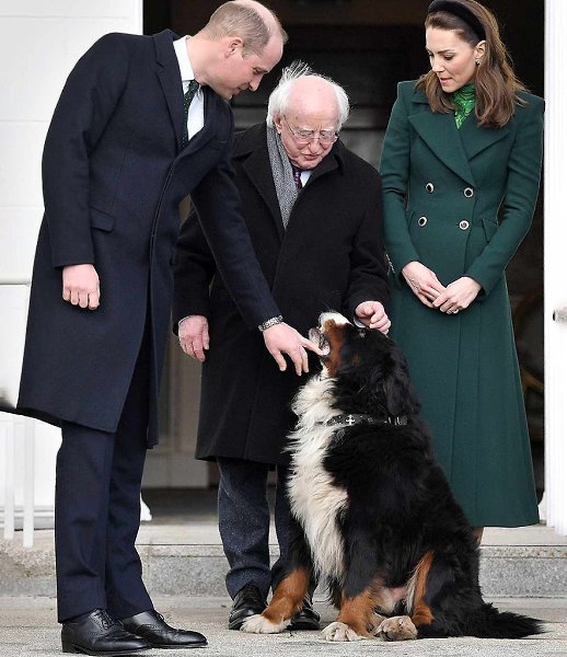 ��������� �������� ����� ������� �������� ����� �������������� � �������� ������������. ��� ������ ... - 3