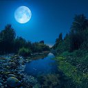 ���� ��������, ��������, 52 ���� - ��������� 21 ������ 2025