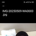 ���� ��������, ��������-13, 40 ��� - ��������� 20 ��� 2025 � ������ ���� ����������