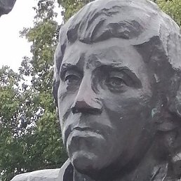 �����, ������, 54 ����