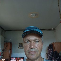 ���������, 44 ����, ������