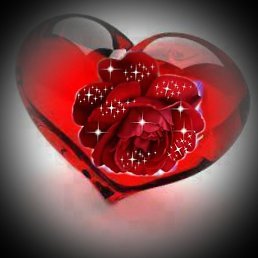 ����, ������, 50 ���