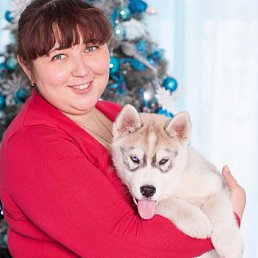 �������, ������-��-����, 37 ���