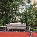 ���� �����)), �����-���������, 69 ��� - ��������� 26 ���� 2026 � ������ ������ ��������