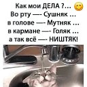 ���� �����, ������ ����� - ��������� 7 ����� 2026 � ������ ������ ��������