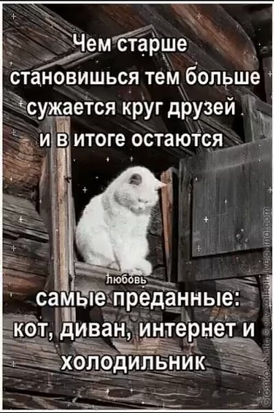  ! - 1  2025  15:20