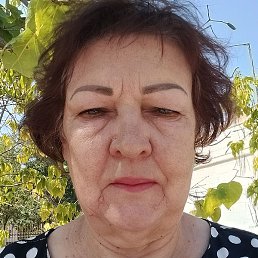 ������� ���������, ����������, 66 ���