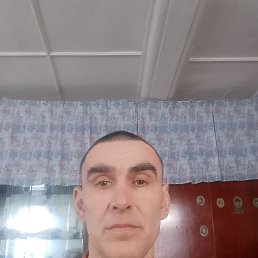 ��������, 50 ���, ������