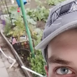 ������, ��������, 28 ���