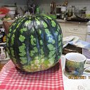 ���� ��������, ������ - ��������� 8 ������ 2023 � ������ ���� ����������